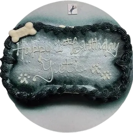 Dog birthday cake with bone decoration.
