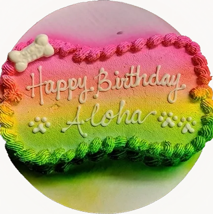 Colorful birthday cake with bone decoration.
