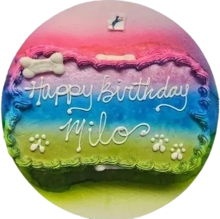 Colorful birthday cake for Milo with decorations.