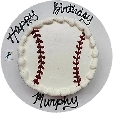 Baseball-themed birthday cake with icing decorations.