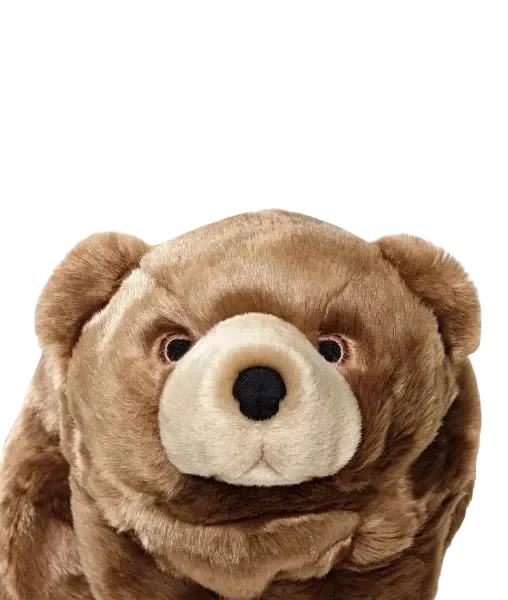 Brown plush bear on black background.