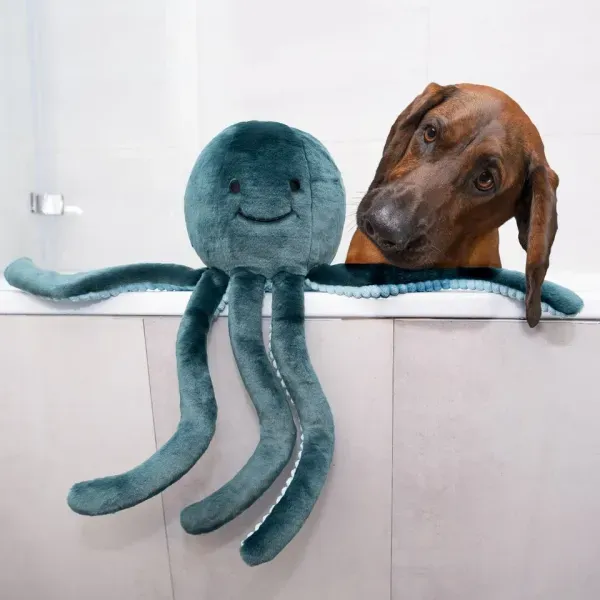 Dog peeking over tub with toy octopus