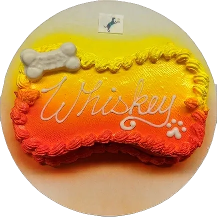 Dog cake with "Whiskey" in orange icing.