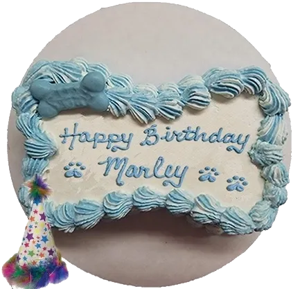 Dog birthday cake for Marley with party hat