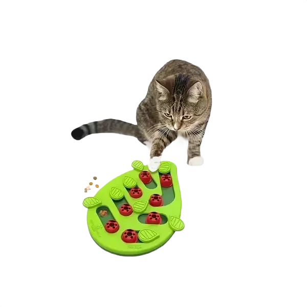 Cat playing with green puzzle toy.