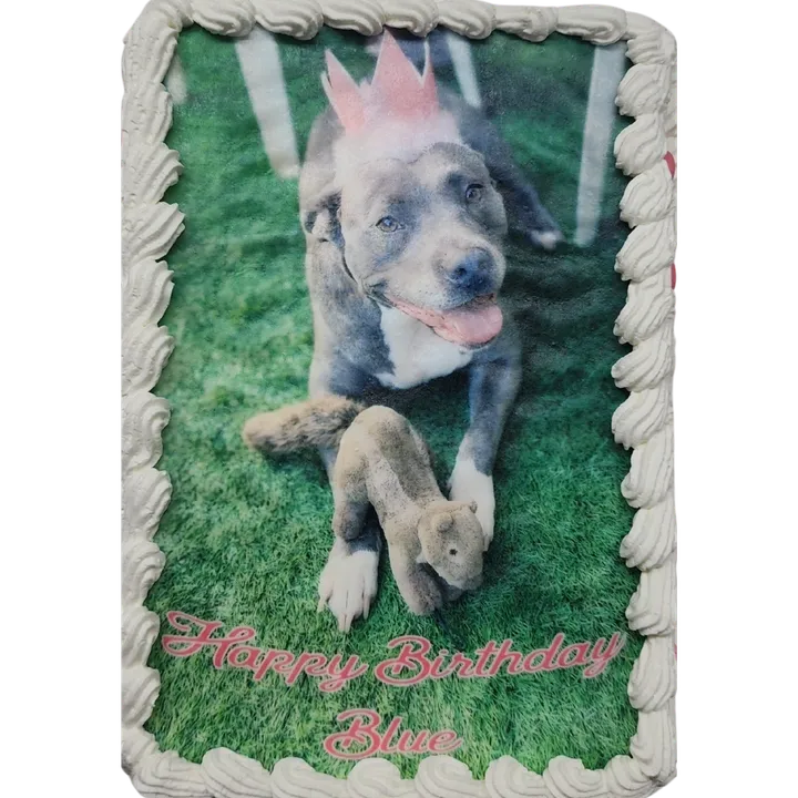Dog-themed birthday cake with decorative edges.