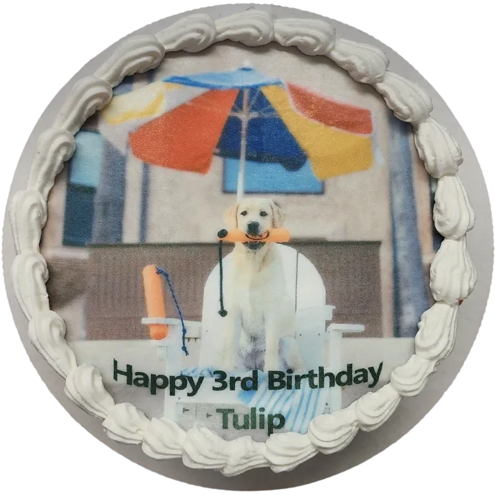 Dog birthday cake with colorful umbrella image.