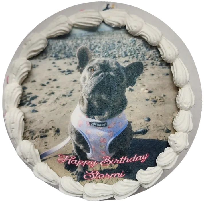 Birthday cake with a French Bulldog photo.