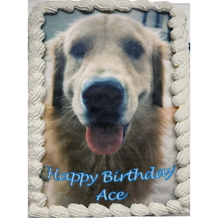 Birthday cake with dog's face and message.