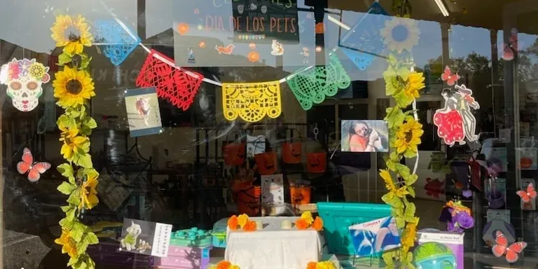 Brightly decorated shopfront with flowers and art