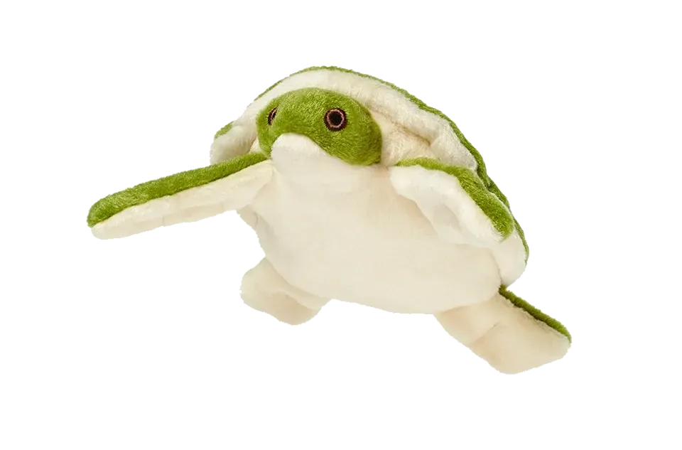 Soft green and white turtle plushie