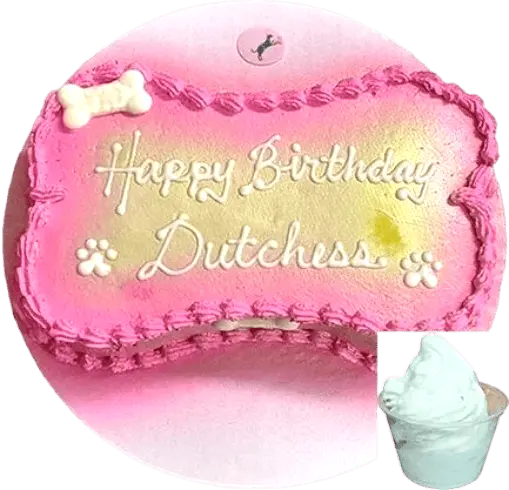 Pink dog birthday cake with bone decoration.