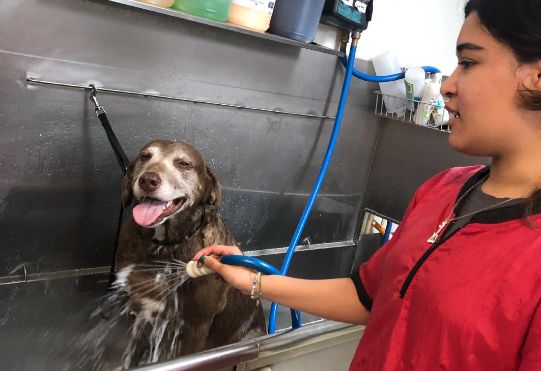 Make Bath Time Easy