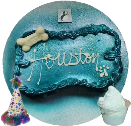 Houston dog cake, party hat, ice cream