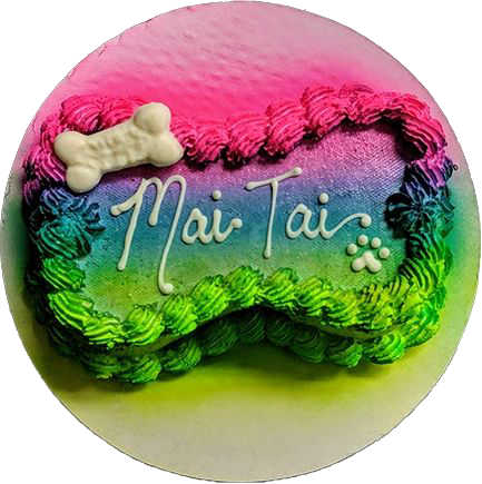 Colorful personalized pet cake with bone