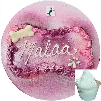 Pink dog cake with "Malaa