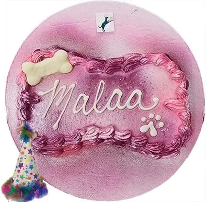 Pink dog birthday cake with "Malaa