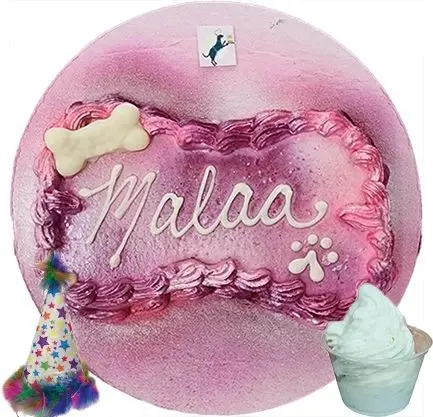 Pet birthday cake with bone and paw