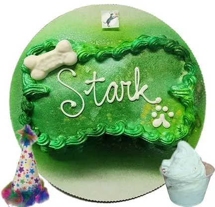 Pet birthday cake with party hat and ice cream