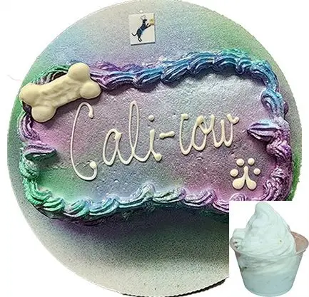 Pet birthday cake with "Cali-cow" and treat