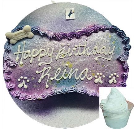 Pet birthday cake for Reina and treat