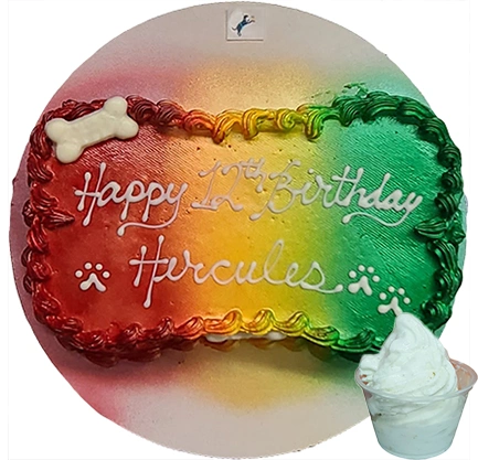 Rainbow dog birthday cake with bone and ice cream