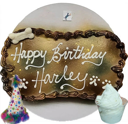 Happy Birthday Harley" dog cake with ice cream