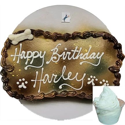 Harley's dog cake and ice cream