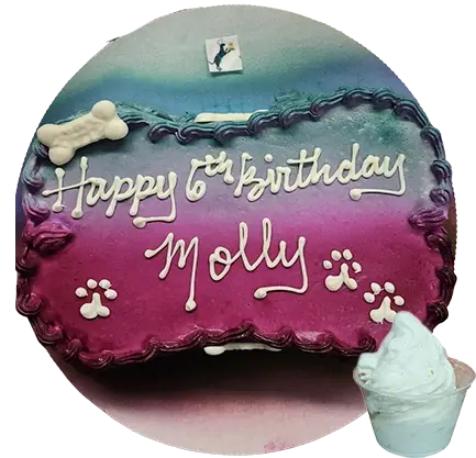 Happy 6th birthday Molly pet cake
