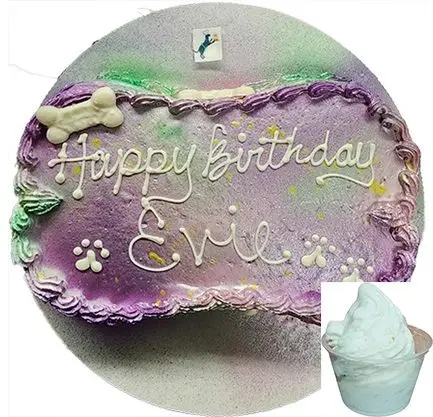 Happy Birthday Evie" dog cake