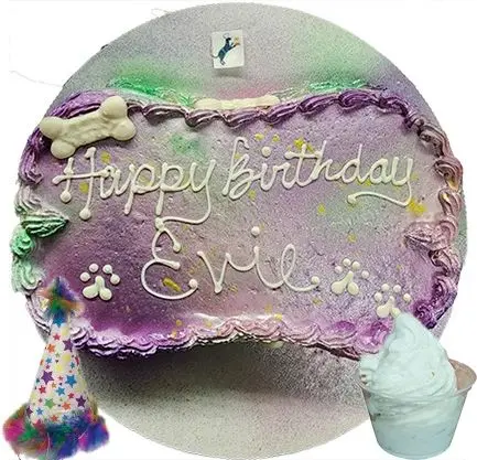 Happy birthday Evie pet cake