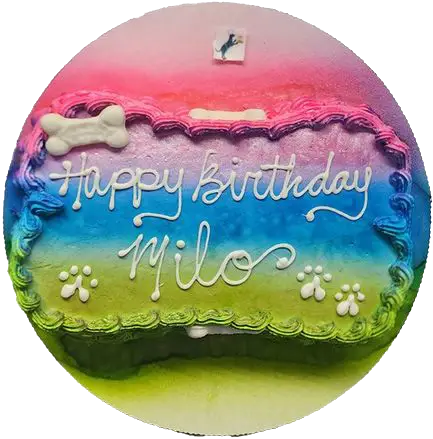 Milo's rainbow birthday cake for dogs