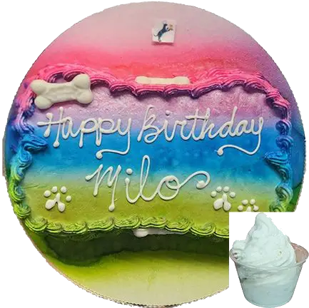 Colorful dog birthday cake and treat