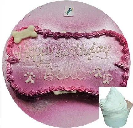 Pet cake with ice cream, "Happy Birthday Belle