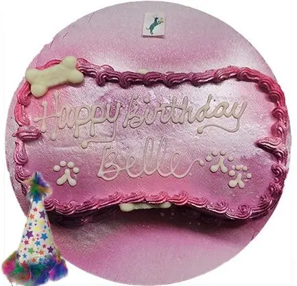 Belle's pink dog birthday cake with party hat