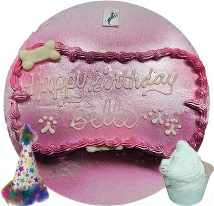 Pink pet cake, "Happy Birthday Belle