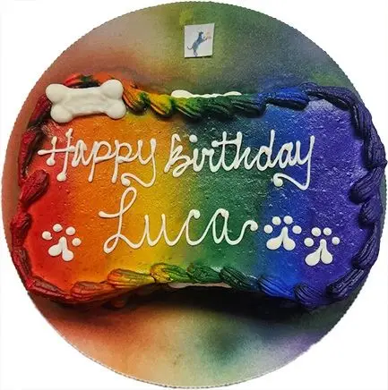 Rainbow dog bone "Happy Birthday Luca" cake