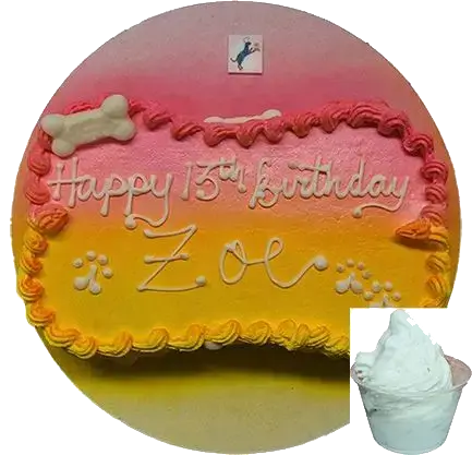 Zoe's 13th birthday dog cake and ice cream
