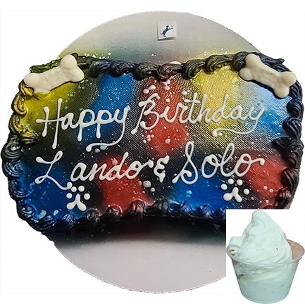 Pet celebration cake with ice cream