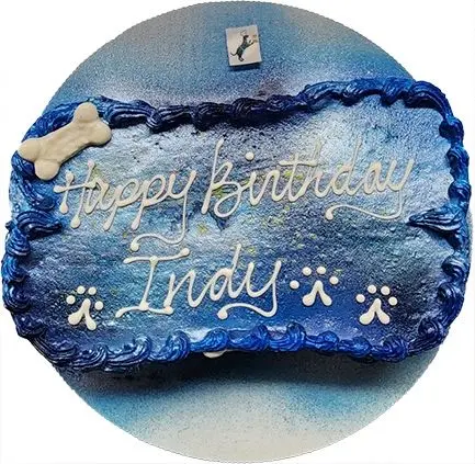 Blue dog birthday cake "Happy Birthday Indy