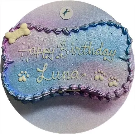 Dog bone birthday cake for Luna