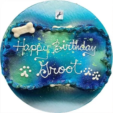 Custom dog treat cake with bone