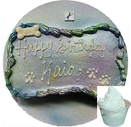 Kaia's festive dog birthday cake with ice cream