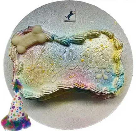 Kyla's bone-shaped dog birthday cake