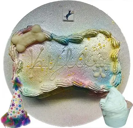 Kyla's pet cake and party hat