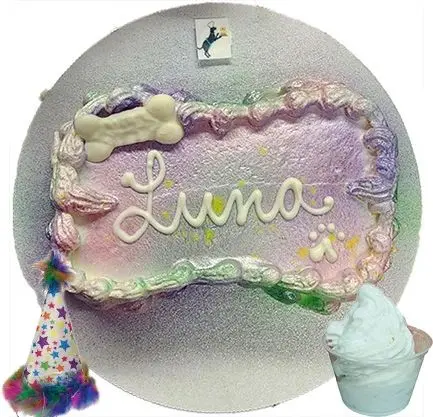 Luna's dog treat and party hat