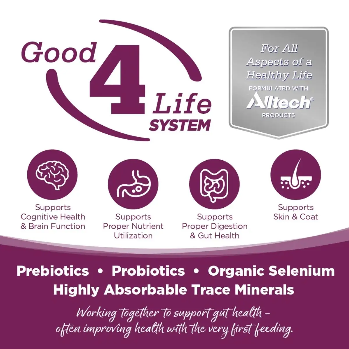 Alltech products for healthy life