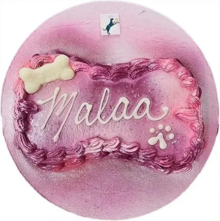 Birthday cake for dogs, pink frosting
