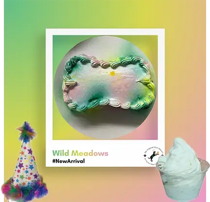Wild Meadows pet cake and ice cream
