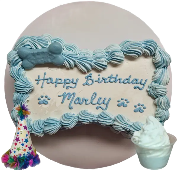 Dog birthday cake with blue icing decoration.